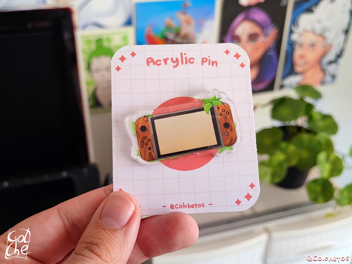 Controller Switch Cozy - Pin